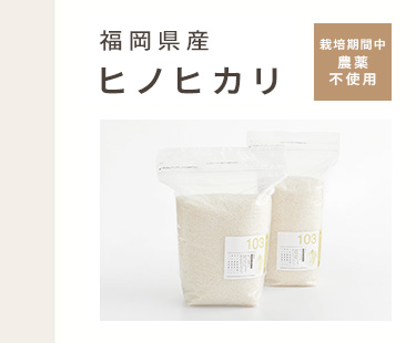 宮崎県産 コシヒカリ